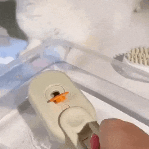 Cepillo a vapor SpaPet