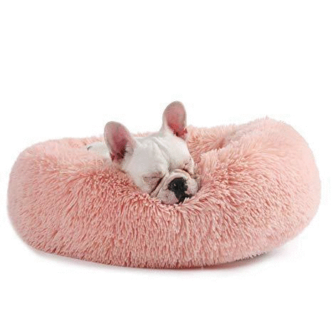 Cama Nube Deluxe 🐾