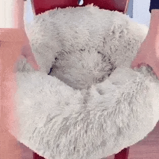 Cama Nube Deluxe 🐾