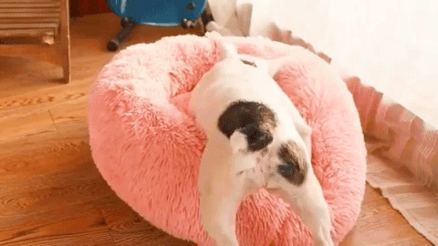 Cama Nube Deluxe 🐾