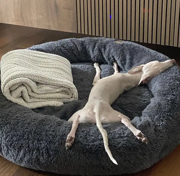 Cama Nube Deluxe 🐾