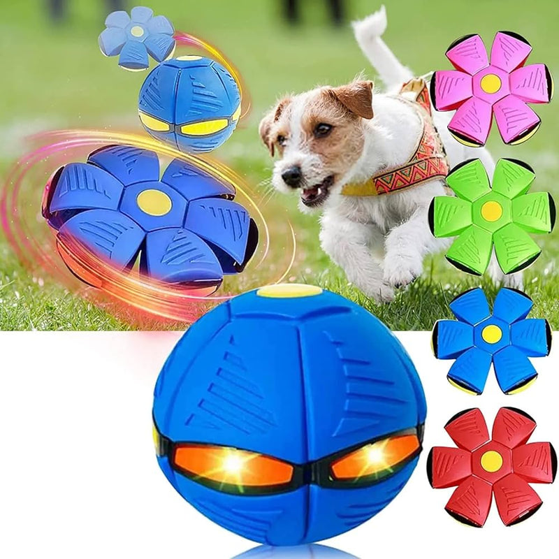 ¡PELOTA VOLADORA DIVERTIDA!