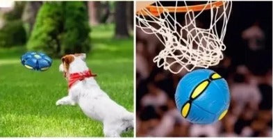 ¡PELOTA VOLADORA DIVERTIDA!