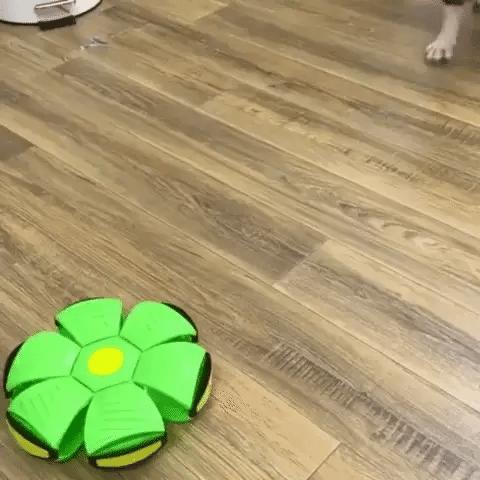¡PELOTA VOLADORA DIVERTIDA!