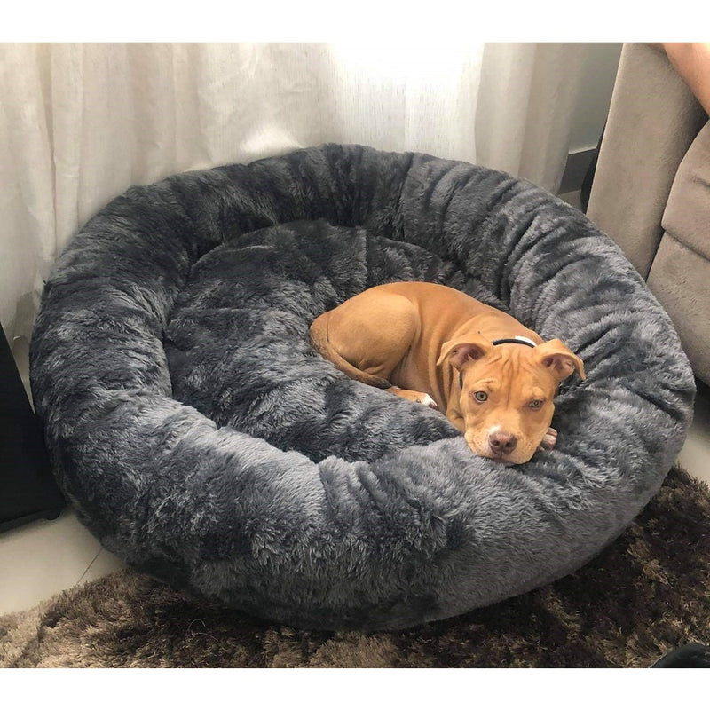 Cama Nube Deluxe 🐾