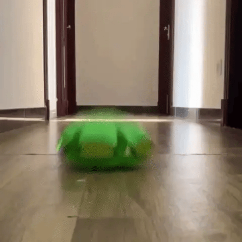 ¡PELOTA VOLADORA DIVERTIDA!
