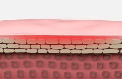 CINTURÓN TÉRMICO PARA CÓLICOS MENSTRUALES 😍✨